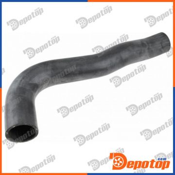 Gaine de suralimentation pour FIAT | GPP-FT-100, 09789